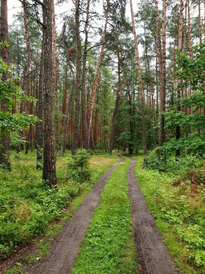 Chata Roudná Klenovice  Exteriér fotografie